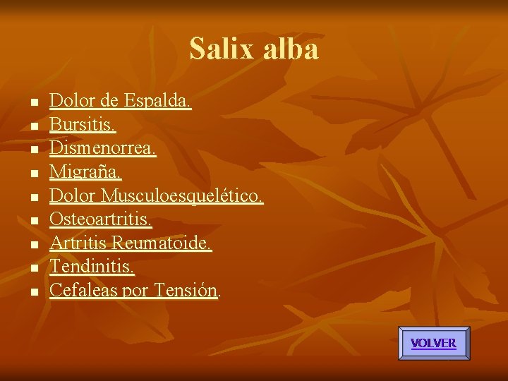 Salix alba n n n n n Dolor de Espalda. Bursitis. Dismenorrea. Migraña. Dolor Salix alba n n n n n Dolor de Espalda. Bursitis. Dismenorrea. Migraña. Dolor