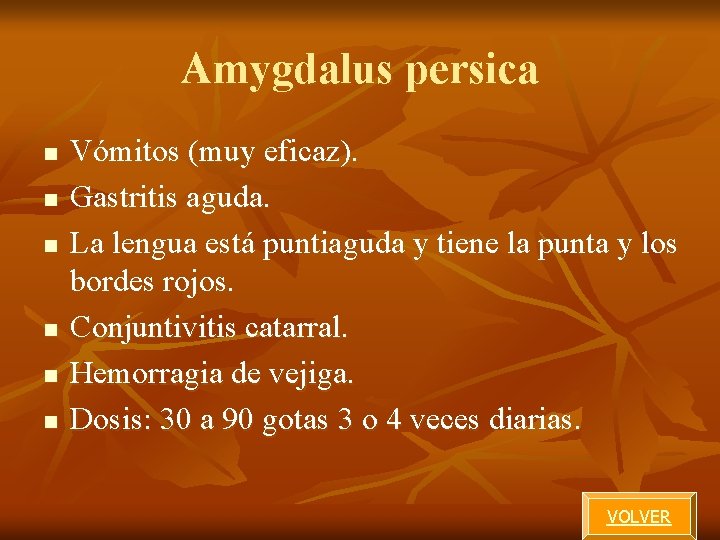 Amygdalus persica n n n Vómitos (muy eficaz). Gastritis aguda. La lengua está puntiaguda Amygdalus persica n n n Vómitos (muy eficaz). Gastritis aguda. La lengua está puntiaguda