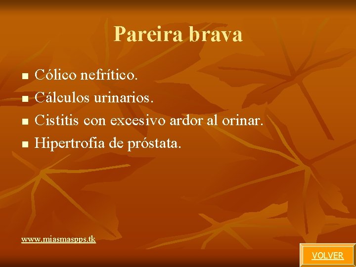 Pareira brava n n Cólico nefrítico. Cálculos urinarios. Cistitis con excesivo ardor al orinar. Pareira brava n n Cólico nefrítico. Cálculos urinarios. Cistitis con excesivo ardor al orinar.