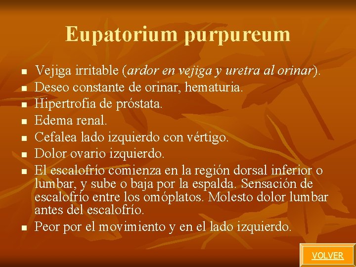 Eupatorium purpureum n n n n Vejiga irritable (ardor en vejiga y uretra al Eupatorium purpureum n n n n Vejiga irritable (ardor en vejiga y uretra al
