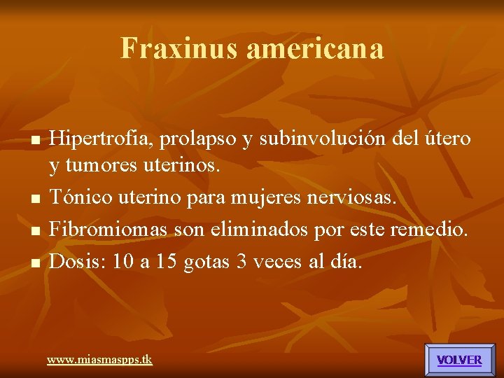Fraxinus americana n n Hipertrofia, prolapso y subinvolución del útero y tumores uterinos. Tónico Fraxinus americana n n Hipertrofia, prolapso y subinvolución del útero y tumores uterinos. Tónico