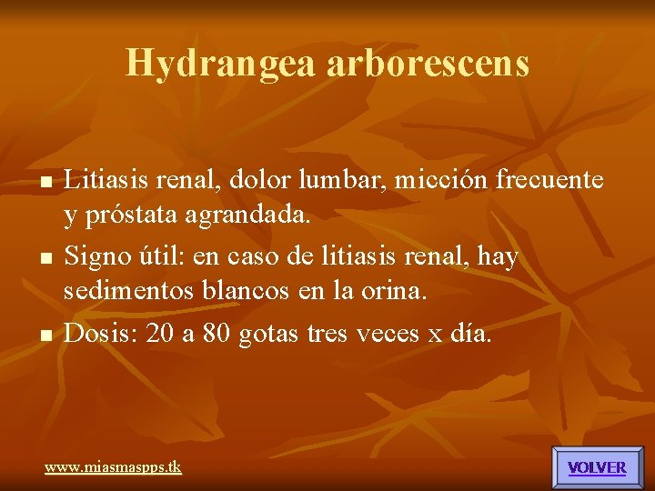 Hydrangea arborescens n n n Litiasis renal, dolor lumbar, micción frecuente y próstata agrandada. Hydrangea arborescens n n n Litiasis renal, dolor lumbar, micción frecuente y próstata agrandada.