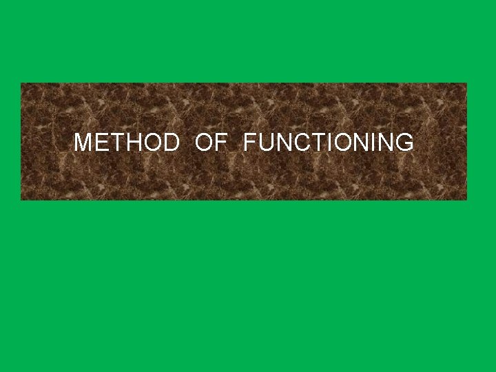 METHOD OF FUNCTIONING 