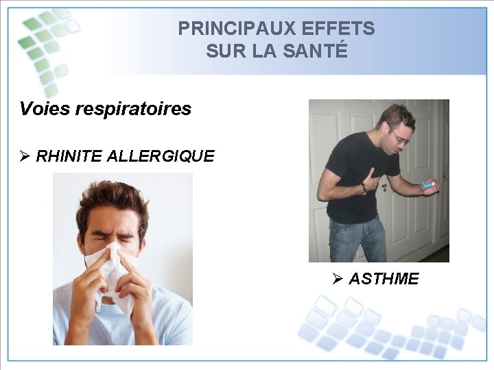 PRINCIPAUX EFFETS SUR LA SANTÉ Voies respiratoires Ø RHINITE ALLERGIQUE Ø ASTHME 