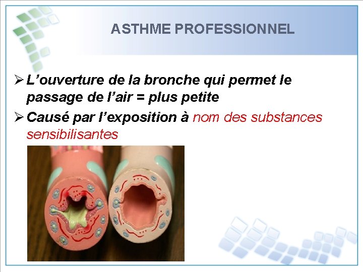 ASTHME PROFESSIONNEL Ø L’ouverture de la bronche qui permet le passage de l’air =