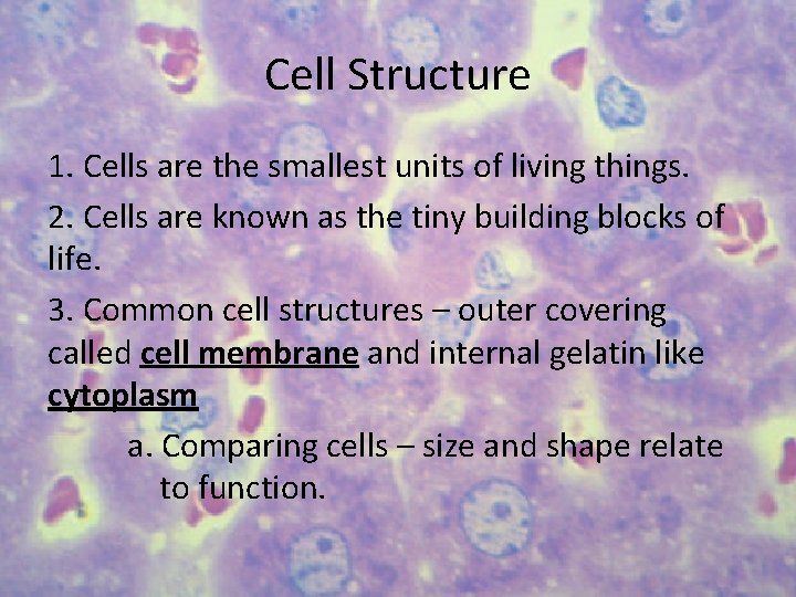 Cell Structure 1. Cells are the smallest units of living things. 2. Cells are