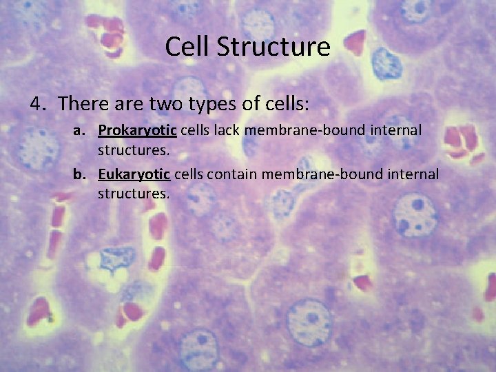 Cell Structure 4. There are two types of cells: a. Prokaryotic cells lack membrane-bound