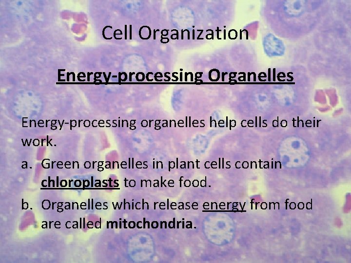 Cell Organization Energy-processing Organelles Energy-processing organelles help cells do their work. a. Green organelles