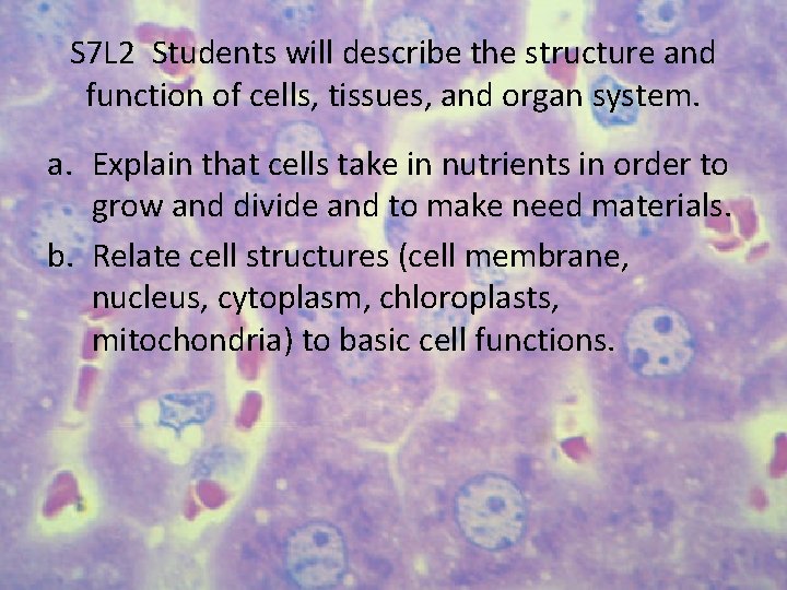 S 7 L 2 Students will describe the structure and function of cells, tissues,