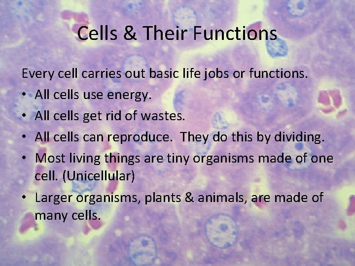 Cells & Their Functions Every cell carries out basic life jobs or functions. •