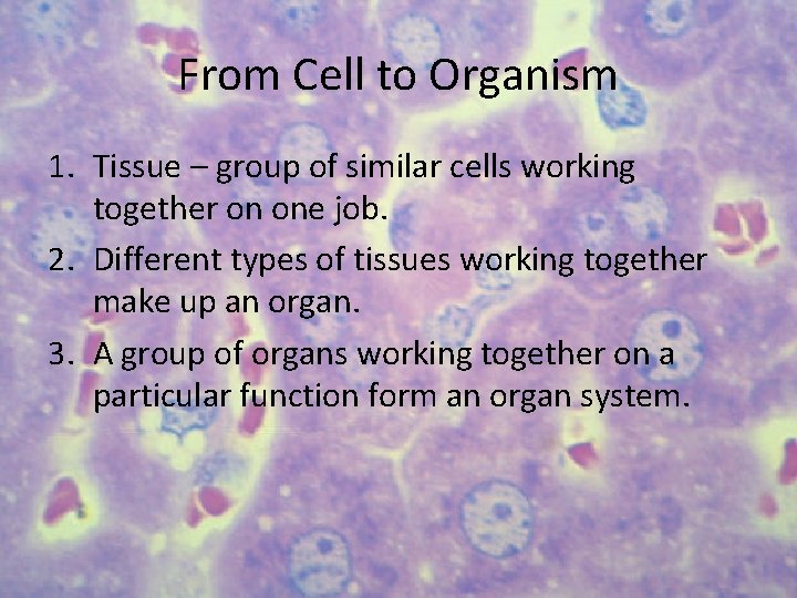 From Cell to Organism 1. Tissue – group of similar cells working together on