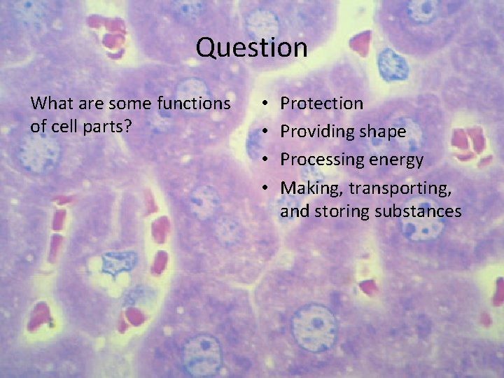 Question What are some functions of cell parts? • • Protection Providing shape Processing