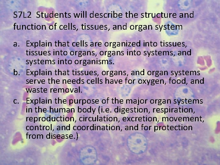 S 7 L 2 Students will describe the structure and function of cells, tissues,