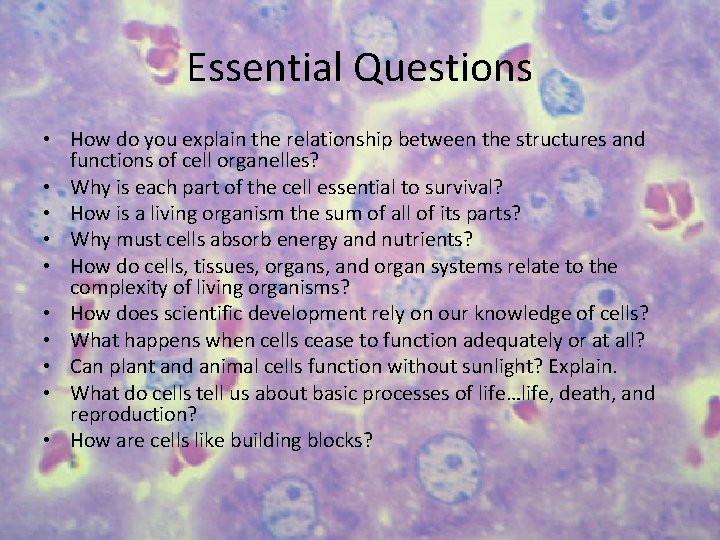 Essential Questions • How do you explain the relationship between the structures and functions