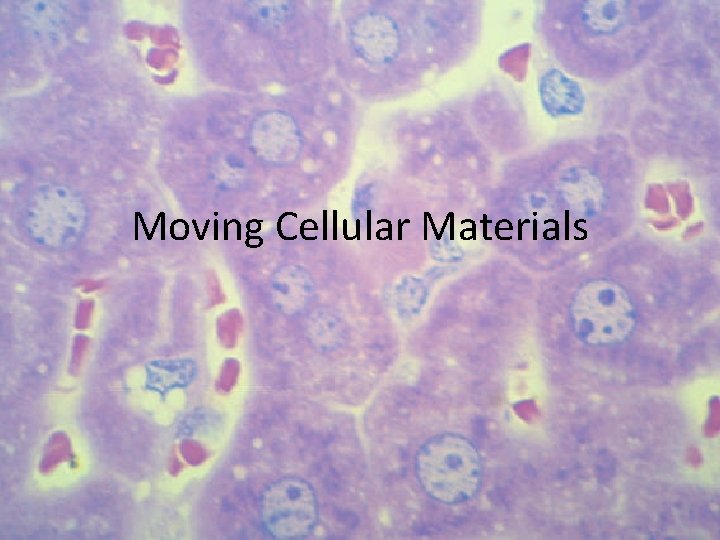 Moving Cellular Materials 