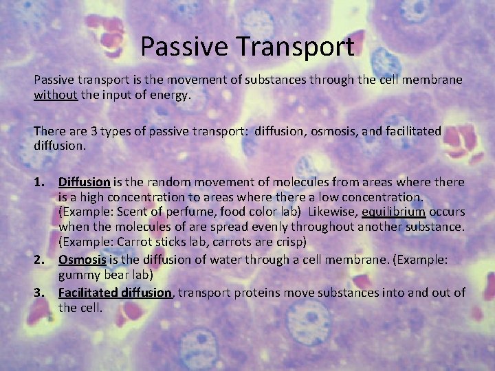 Passive Transport Passive transport is the movement of substances through the cell membrane without