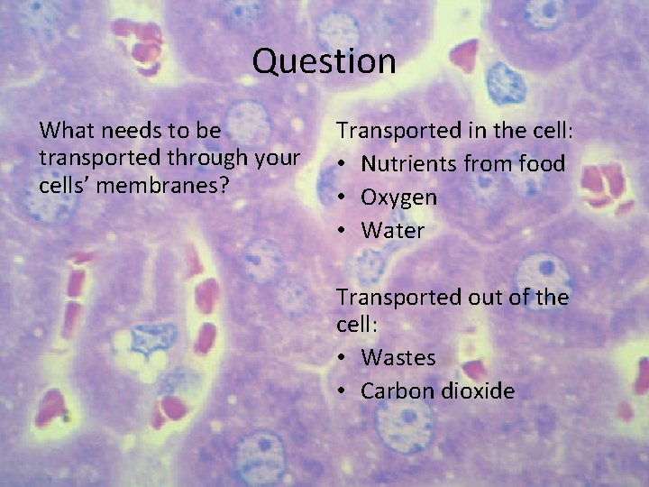 Question What needs to be transported through your cells’ membranes? Transported in the cell: