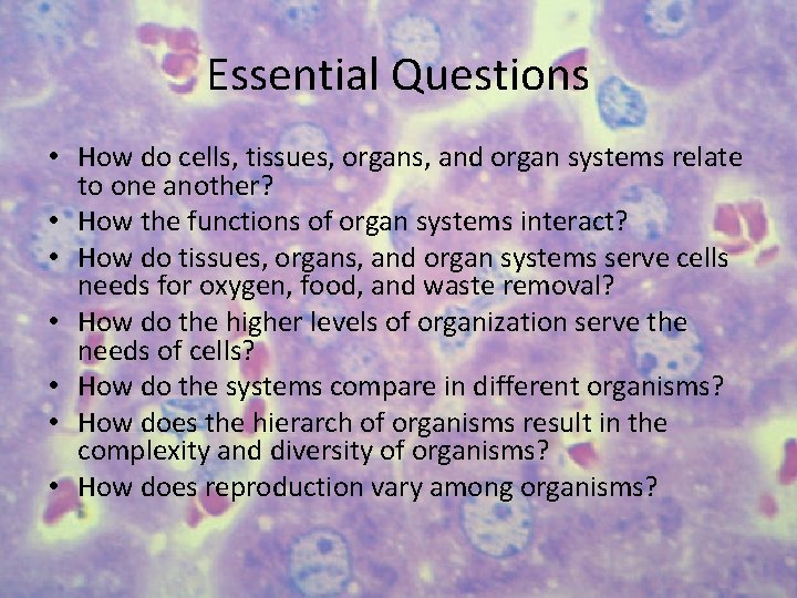 Essential Questions • How do cells, tissues, organs, and organ systems relate to one