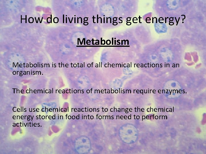 How do living things get energy? Metabolism is the total of all chemical reactions