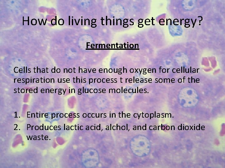 How do living things get energy? Fermentation Cells that do not have enough oxygen