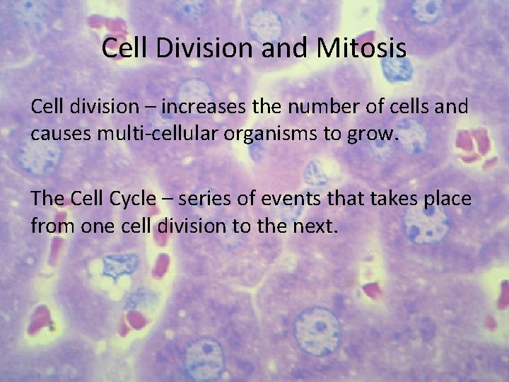 Cell Division and Mitosis Cell division – increases the number of cells and causes