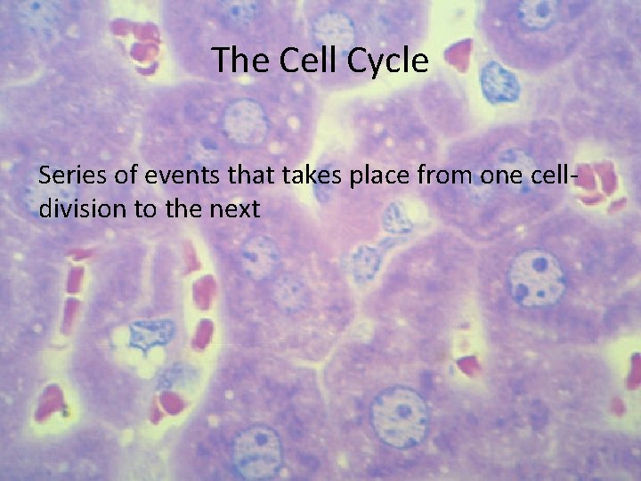 The Cell Cycle Series of events that takes place from one celldivision to the