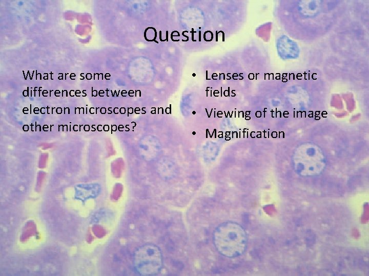 Question What are some differences between electron microscopes and other microscopes? • Lenses or