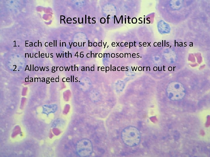 Results of Mitosis 1. Each cell in your body, except sex cells, has a