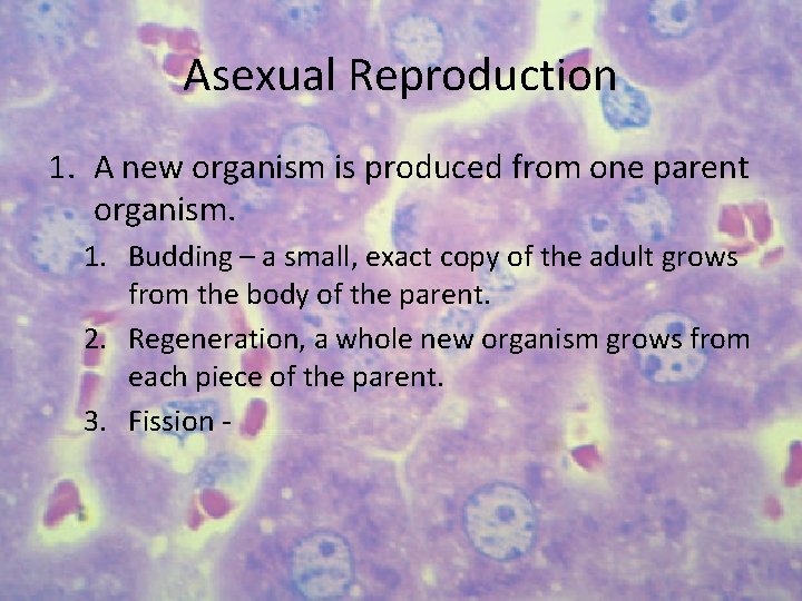 Asexual Reproduction 1. A new organism is produced from one parent organism. 1. Budding