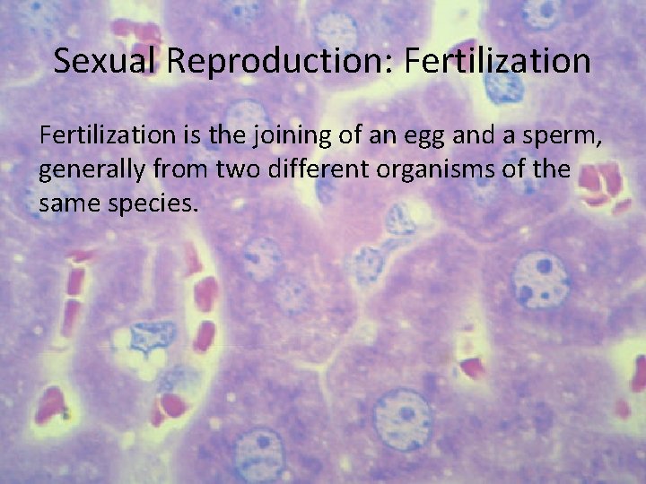 Sexual Reproduction: Fertilization is the joining of an egg and a sperm, generally from