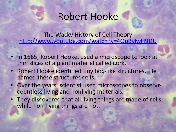 Robert Hooke The Wacky History of Cell Theory http: //www. youtube. com/watch? v=4 Op.