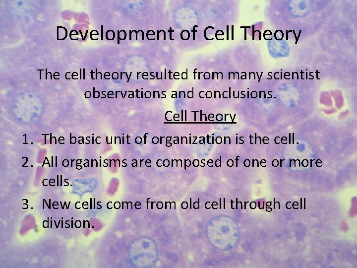 Development of Cell Theory The cell theory resulted from many scientist observations and conclusions.