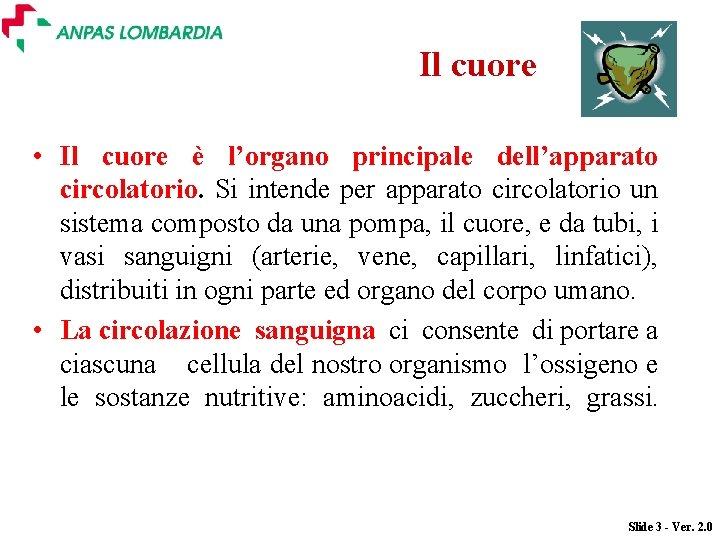 Il cuore • Il cuore è l’organo principale dell’apparato circolatorio. Si intende per apparato Il cuore • Il cuore è l’organo principale dell’apparato circolatorio. Si intende per apparato