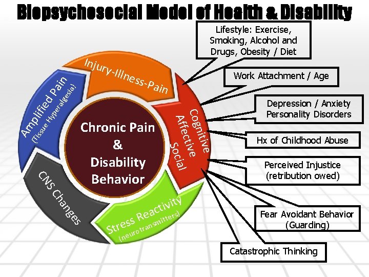 Biopsychosocial Model of Health & Disability Inju Lifestyle: Exercise, Smoking, Alcohol and Drugs, Obesity