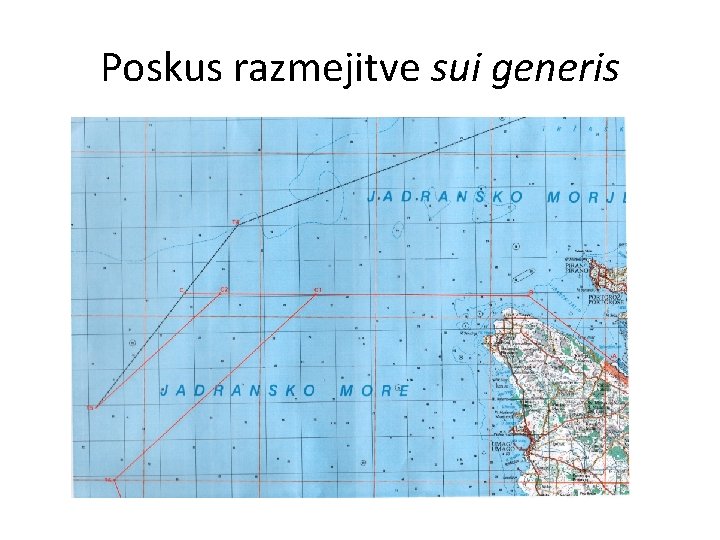 Poskus razmejitve sui generis 