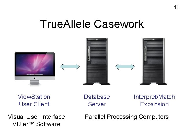 11 True. Allele Casework View. Station User Client Visual User Interface VUIer™ Software Database