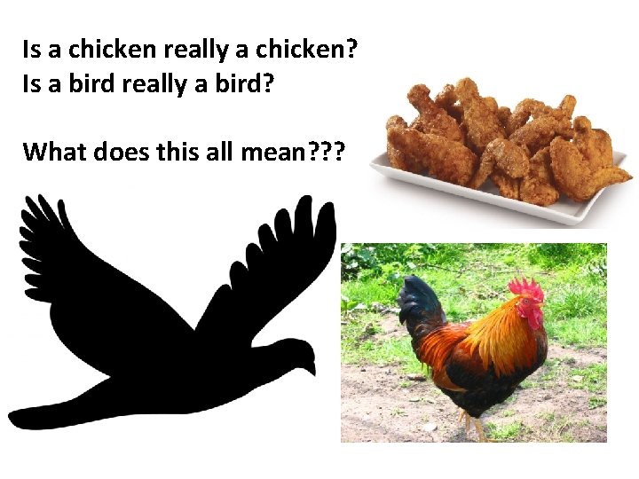 Is a chicken really a chicken? Is a bird really a bird? What does