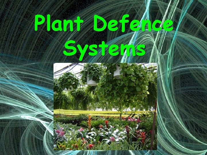 Plant Defence Systems 