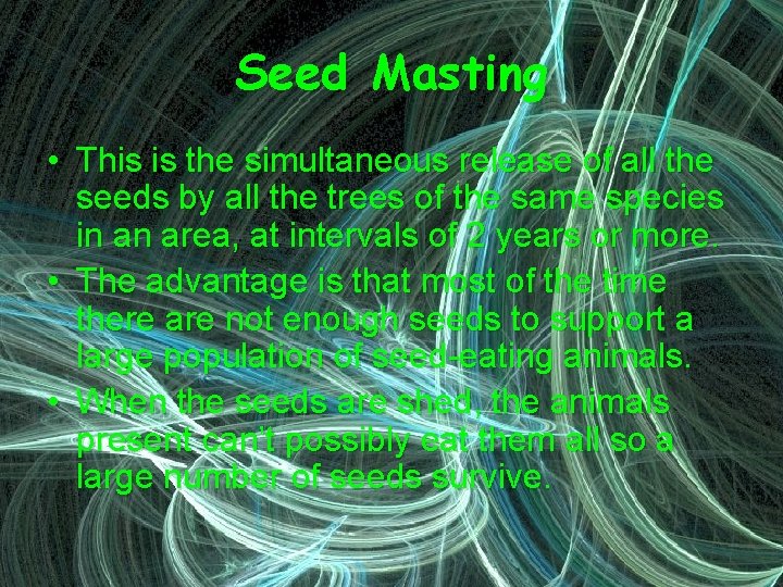 Seed Masting • This is the simultaneous release of all the seeds by all