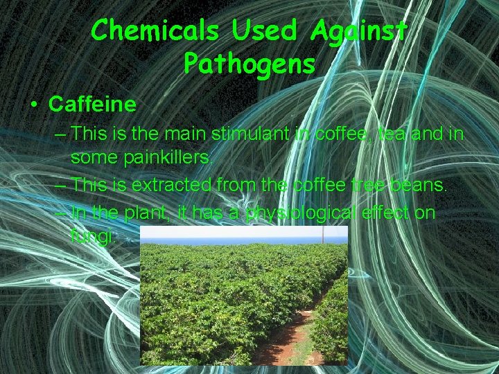 Chemicals Used Against Pathogens • Caffeine – This is the main stimulant in coffee,