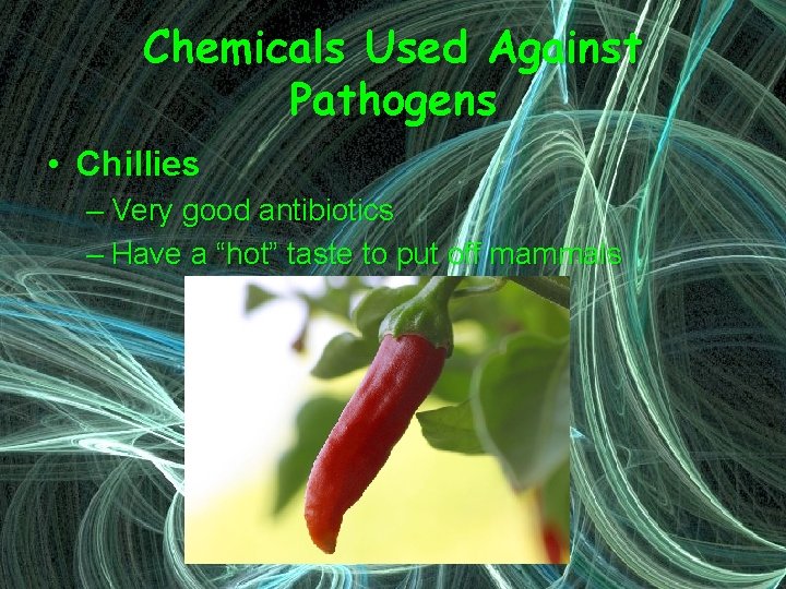 Chemicals Used Against Pathogens • Chillies – Very good antibiotics – Have a “hot”