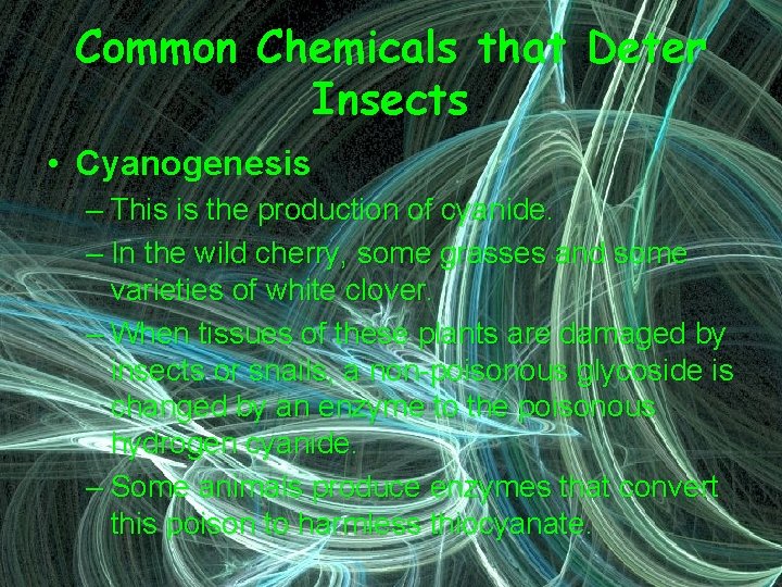 Common Chemicals that Deter Insects • Cyanogenesis – This is the production of cyanide.