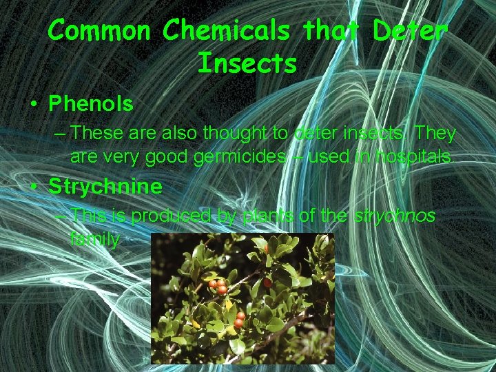 Common Chemicals that Deter Insects • Phenols – These are also thought to deter