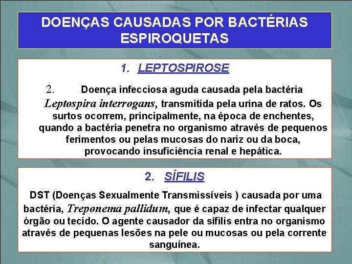 DOENÇAS CAUSADAS POR BACTÉRIAS ESPIROQUETAS 1. LEPTOSPIROSE 2. Doença infecciosa aguda causada pela bactéria