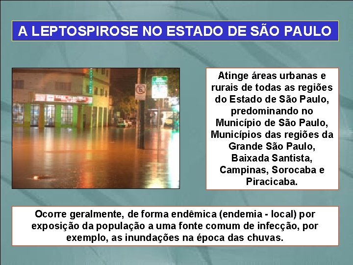 A LEPTOSPIROSE NO ESTADO DE SÃO PAULO Atinge áreas urbanas e rurais de todas