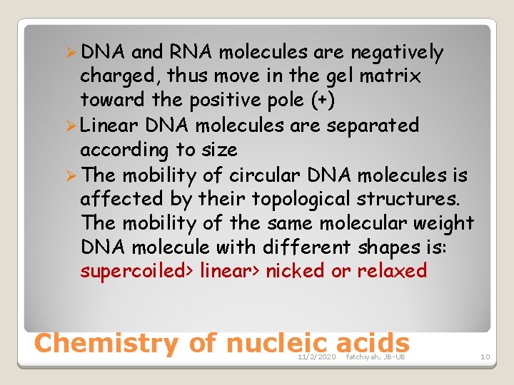 Ø DNA and RNA molecules are negatively charged, thus move in the gel matrix