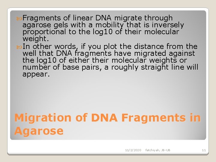  Fragments of linear DNA migrate through agarose gels with a mobility that is