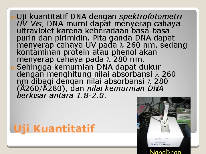  Uji kuantitatif DNA dengan spektrofotometri UV-Vis, DNA murni dapat menyerap cahaya ultraviolet karena