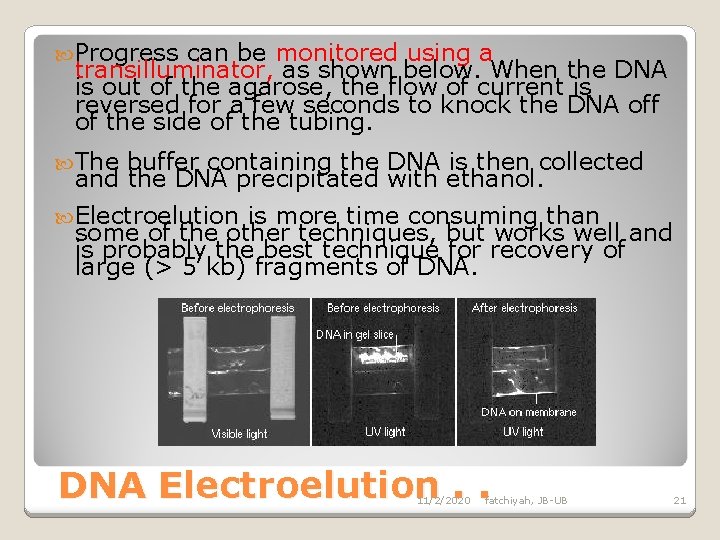  Progress can be monitored using a transilluminator, as shown below. When the DNA