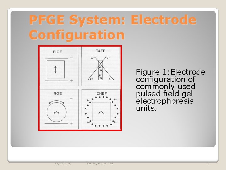 PFGE System: Electrode Configuration Figure 1: Electrode configuration of commonly used pulsed field gel